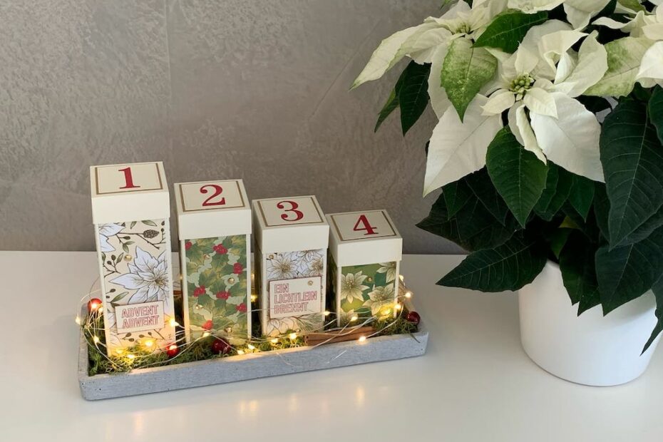 Adventkalender-4-Sonntage_Weihnachtsblüten_Licht